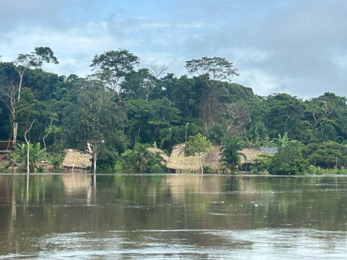 Fuertes lluvias provocan inundaciones en comunidades del Alto Orinoco