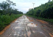 Productores comunidades de Tucupita sacan sus cosechas en canoas por el mal estado de la carretera