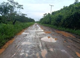 Productores comunidades de Tucupita sacan sus cosechas en canoas por el mal estado de la carretera