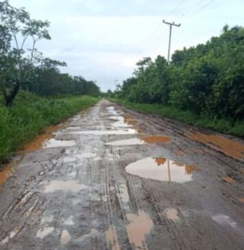 Productores comunidades de Tucupita sacan sus cosechas en canoas por el mal estado de la carretera