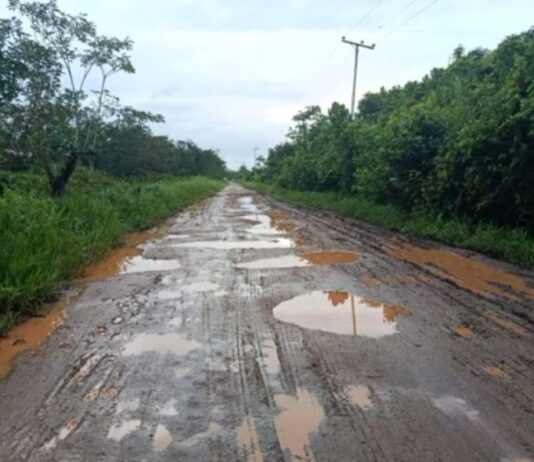 Productores comunidades de Tucupita sacan sus cosechas en canoas por el mal estado de la carretera
