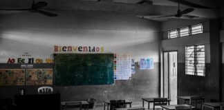 Cecodap alerta que la ideación suicida es cada vez más común en los colegios