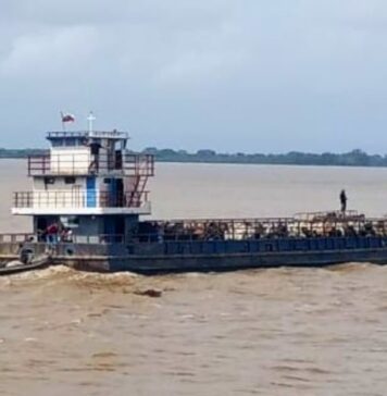 Productores anticipan plan de contingencia ante el rápido ascenso del río Orinoco