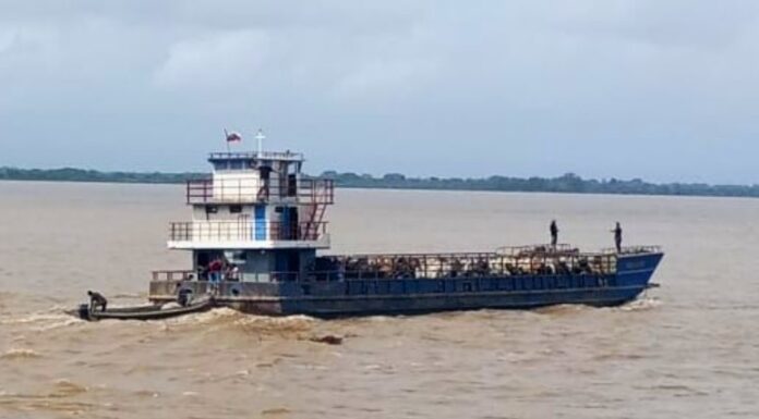 Productores anticipan plan de contingencia ante el rápido ascenso del río Orinoco