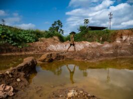 Ex ministro de Ambiente: Apagar las industrias seducidos por el oro destruyó Guayana