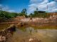 Ex ministro de Ambiente: Apagar las industrias seducidos por el oro destruyó Guayana