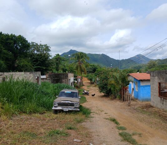 La comunidad Nuevo Horizonte de Guárico tiene 20 años esperando soluciones