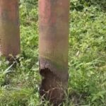 Poste eléctrico deteriorado pone en riesgo a familias de la comunidad La Manga del Río en Guasdualito