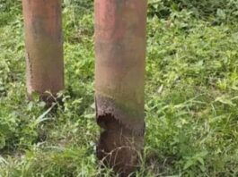 Poste eléctrico deteriorado pone en riesgo a familias de la comunidad La Manga del Río en Guasdualito