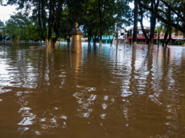 Fuertes inundaciones afectan a La Victoria tras crecida del río Arauca