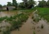 Varios sectores de Tucupita quedaron inundados tras lluvias
