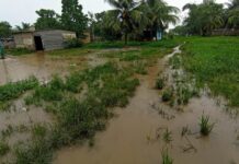 Varios sectores de Tucupita quedaron inundados tras lluvias