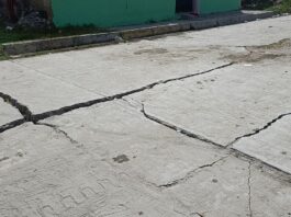 Licuación de suelos en Falcón: El fenómeno que hundió el sector Cuyamar tras los fuertes sismos Sismos