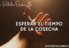 Una Palabra Oportuna 4815 Una Palabra Oportuna