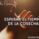 Una Palabra Oportuna 4815 Una Palabra Oportuna