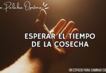 Una Palabra Oportuna 4815 Una Palabra Oportuna