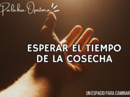 Una Palabra Oportuna 4815 Una Palabra Oportuna
