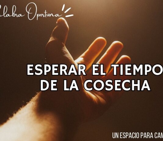 Una Palabra Oportuna 4815 Una Palabra Oportuna