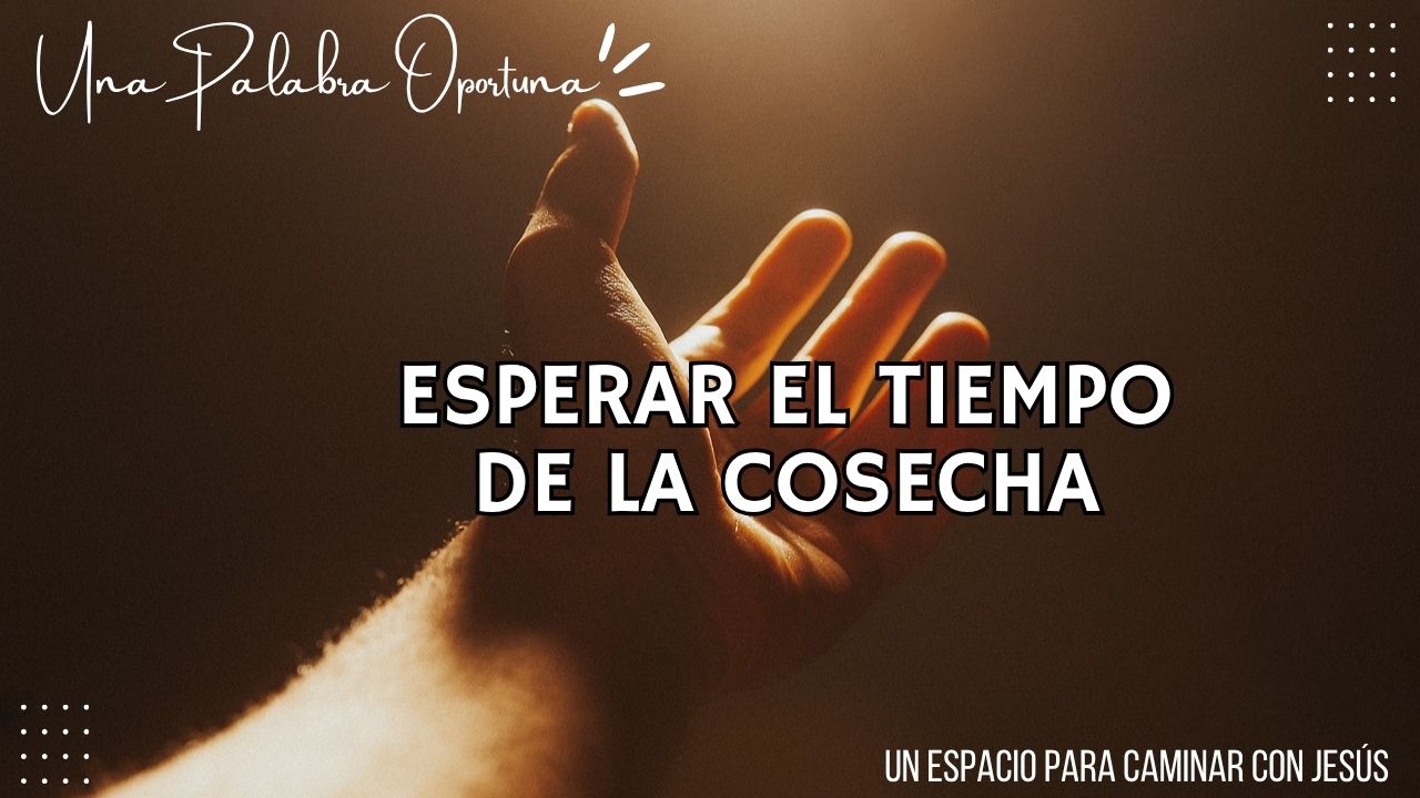 UPO 19-07-2026 MAÑANA Una Palabra Oportuna
