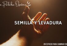 Una Palabra Oportuna