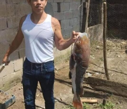 Fallece otro trabajador lesionado tras explosión en taladro en La Victoria