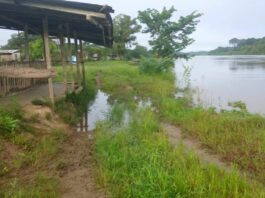Nivel del río Orinoco en Delta Amacuro amenaza con igualar o superar el desastre de 2025