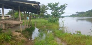 Nivel del río Orinoco en Delta Amacuro amenaza con igualar o superar el desastre de 2025