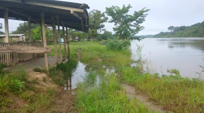 Nivel del río Orinoco en Delta Amacuro amenaza con igualar o superar el desastre de 2025