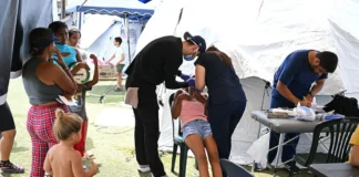 Piden más información para coordinar la atención a damnificados por los terremotos