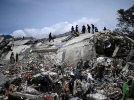 ¿Qué se establece legalmente sobre la presunción de muerte y posesión de bienes tras el terremoto?